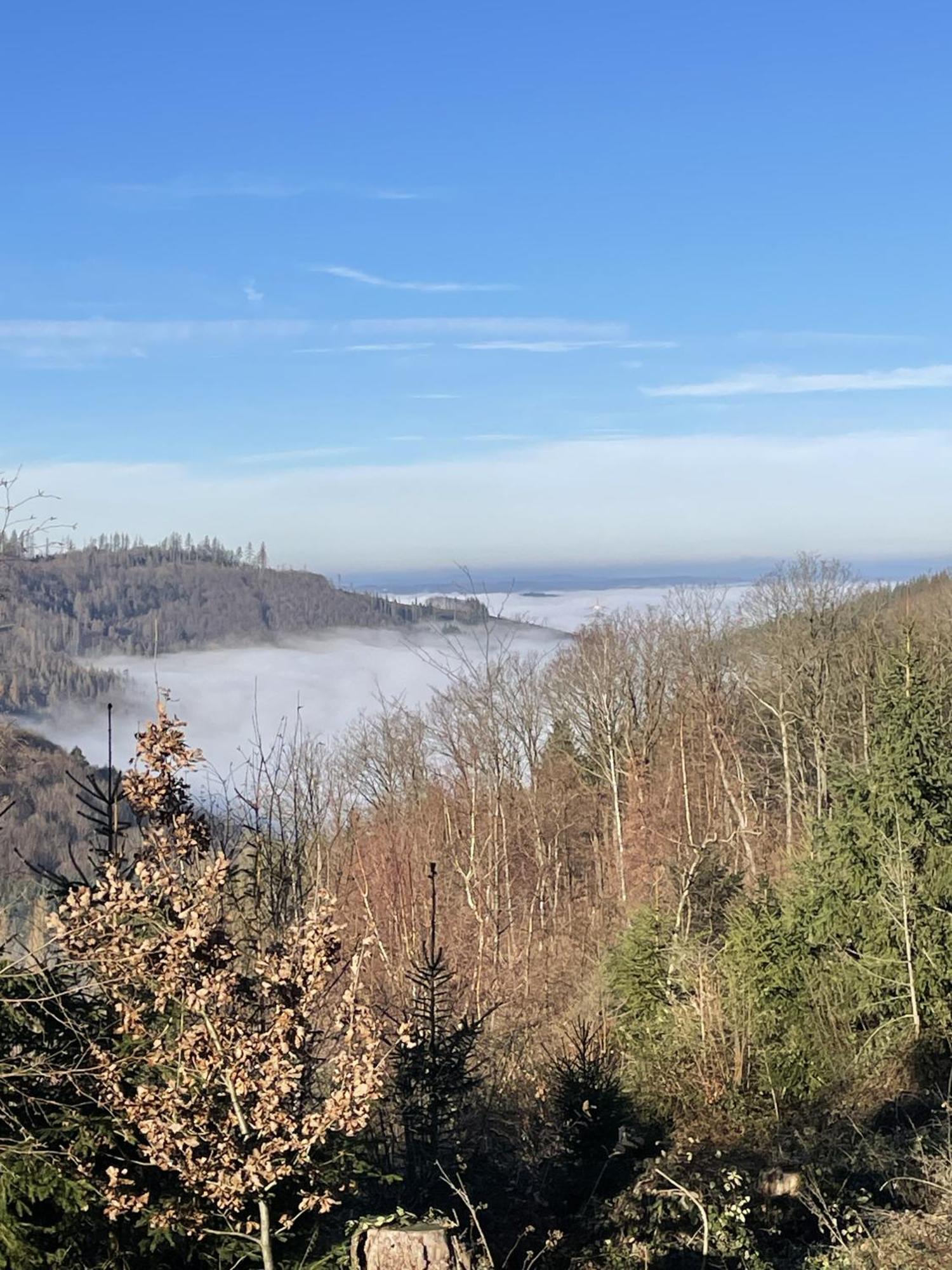 Gittas Paradiesperle Niederdreisbach Zewnętrze zdjęcie