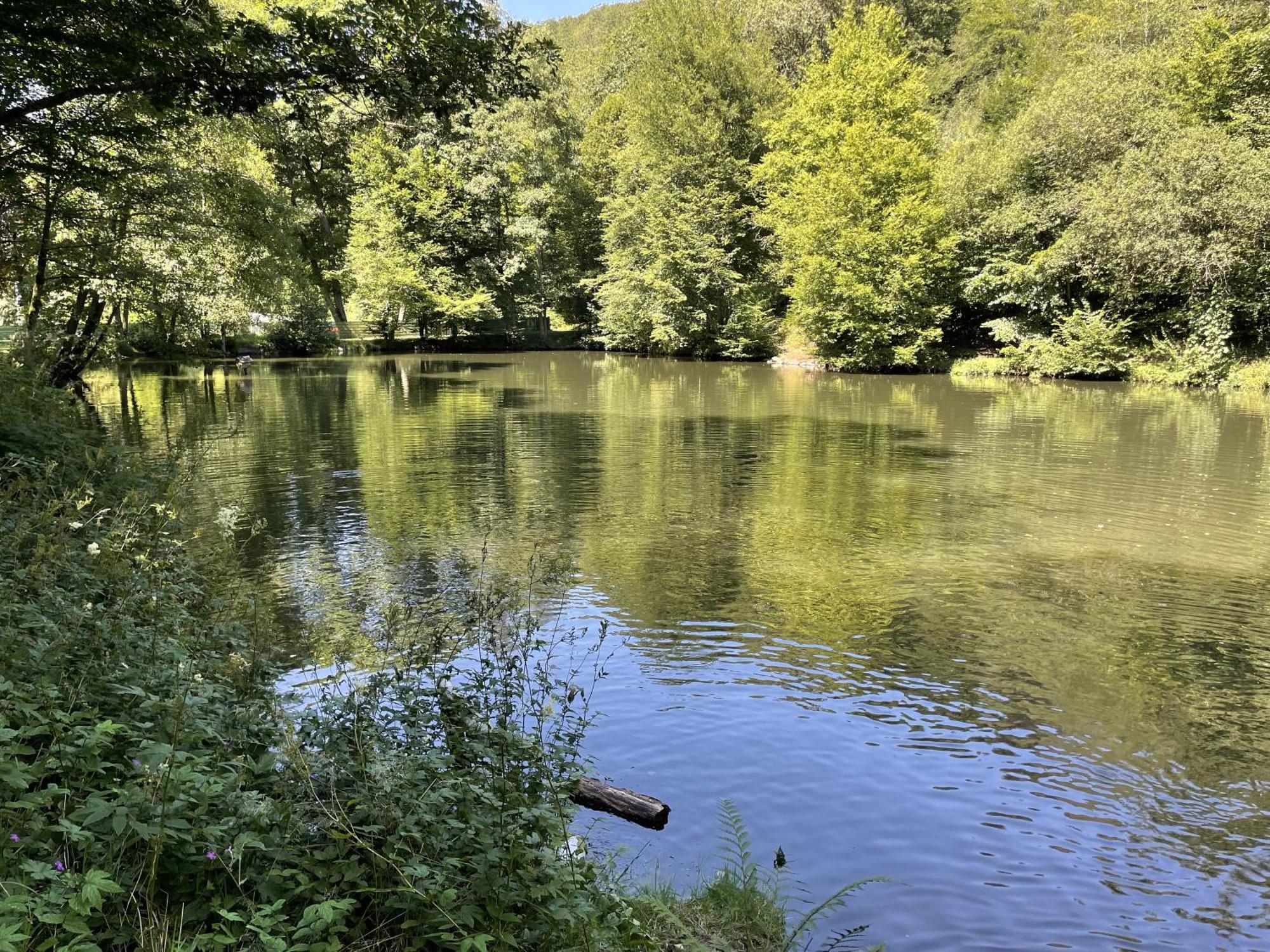 Gittas Paradiesperle Niederdreisbach Zewnętrze zdjęcie