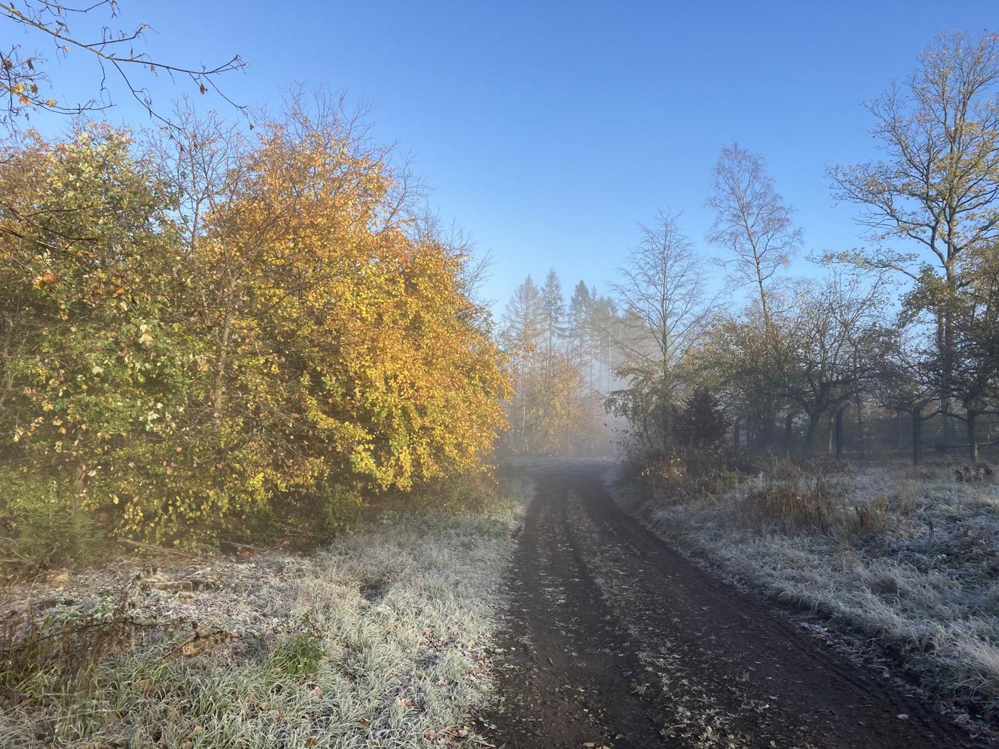 Gittas Paradiesperle Niederdreisbach Zewnętrze zdjęcie