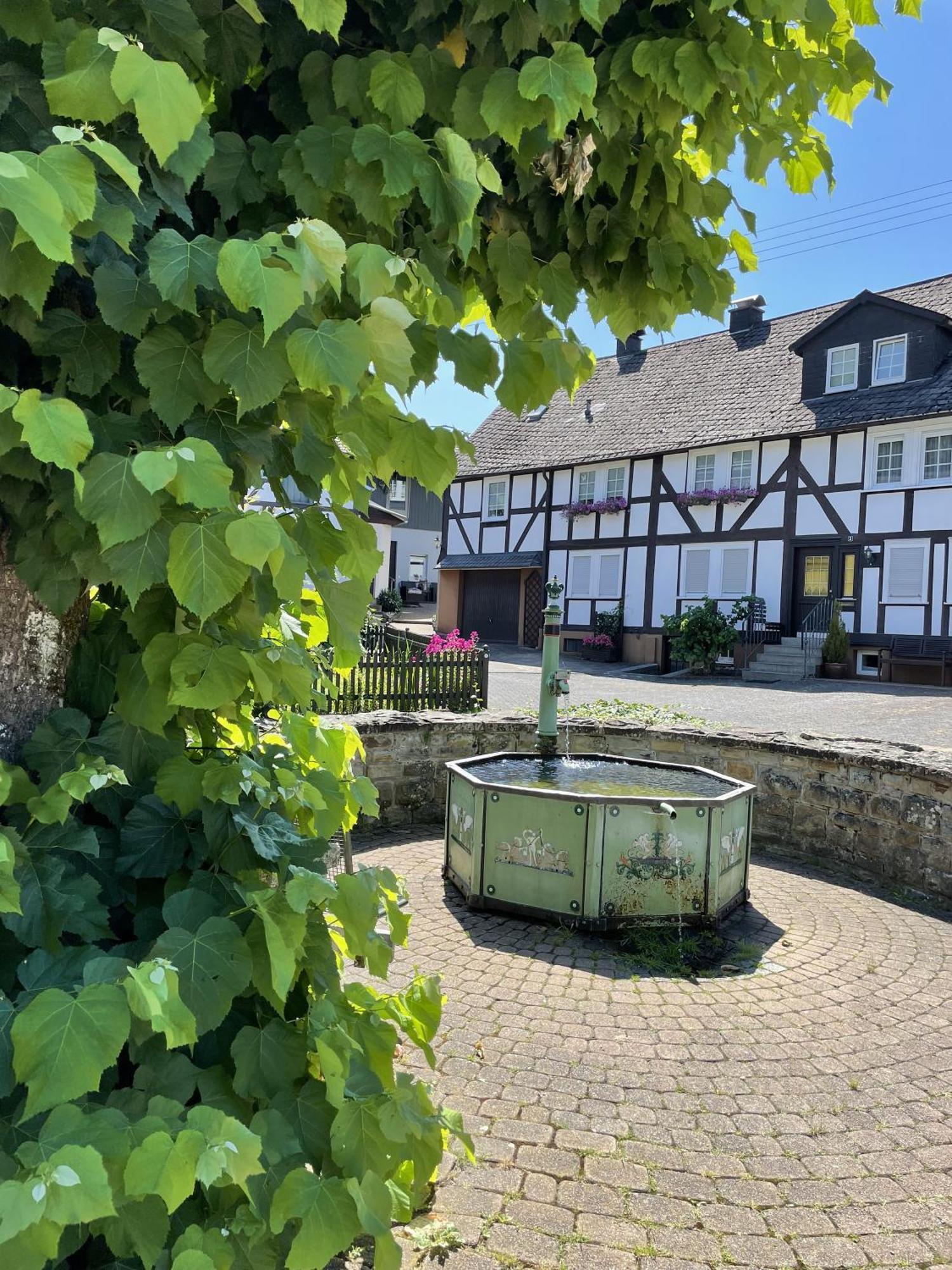 Gittas Paradiesperle Niederdreisbach Zewnętrze zdjęcie