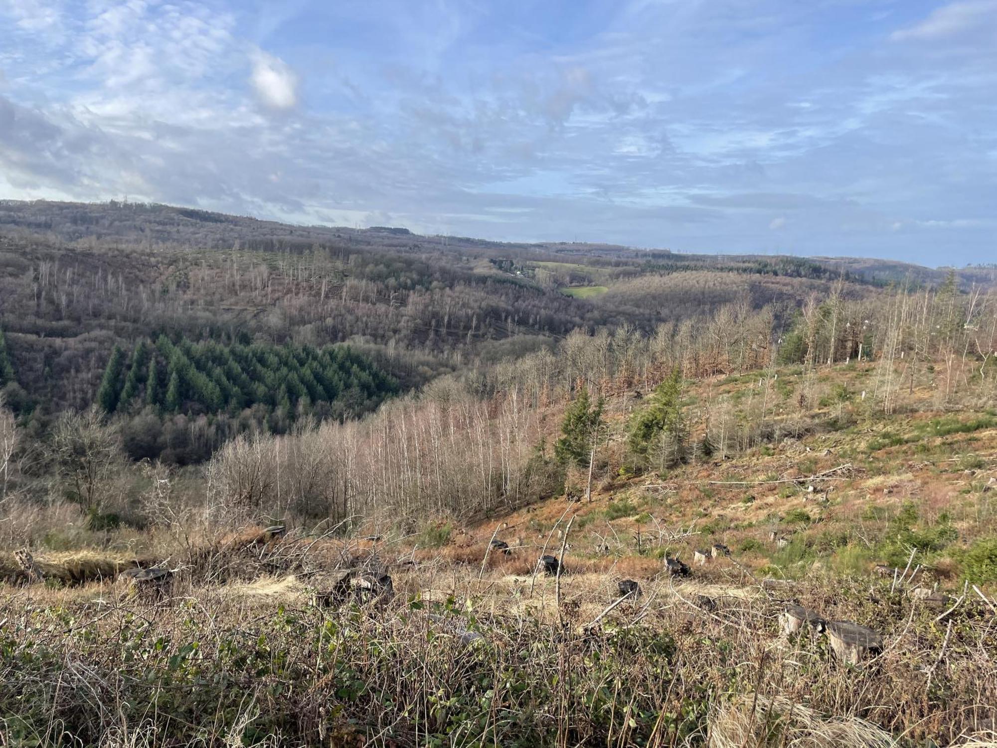 Gittas Paradiesperle Niederdreisbach Zewnętrze zdjęcie