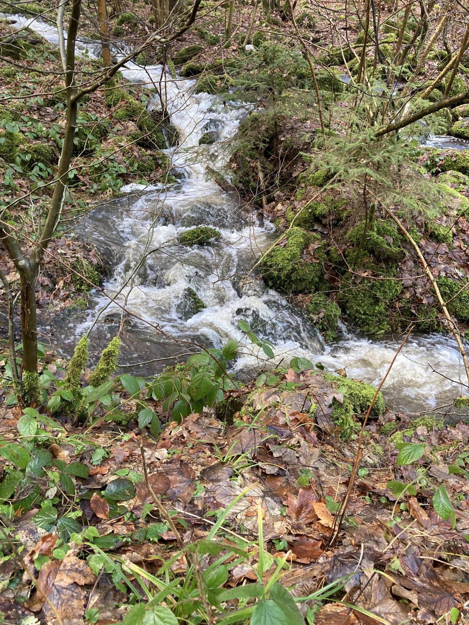 Gittas Paradiesperle Niederdreisbach Zewnętrze zdjęcie