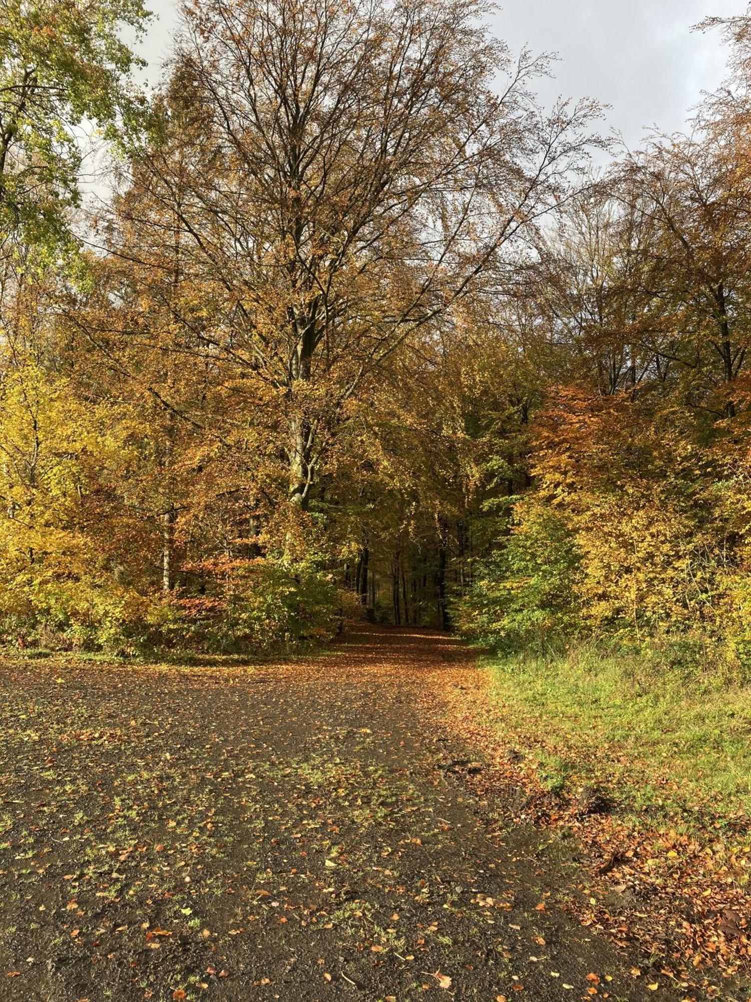Gittas Paradiesperle Niederdreisbach Zewnętrze zdjęcie